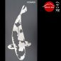 Preview: Kohaku | Edelstahl V2A 2mm | 70cm