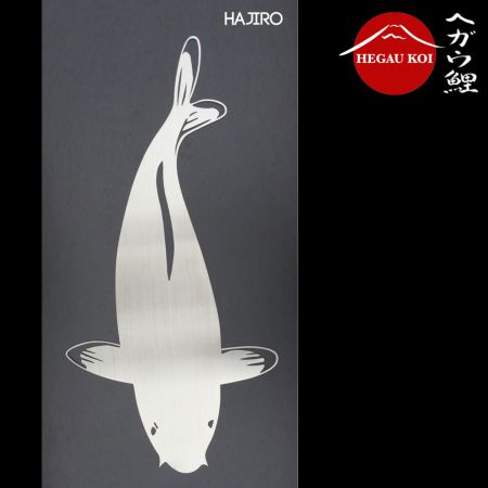 Hajiro | Edelstahl V2A 2mm | 50cm