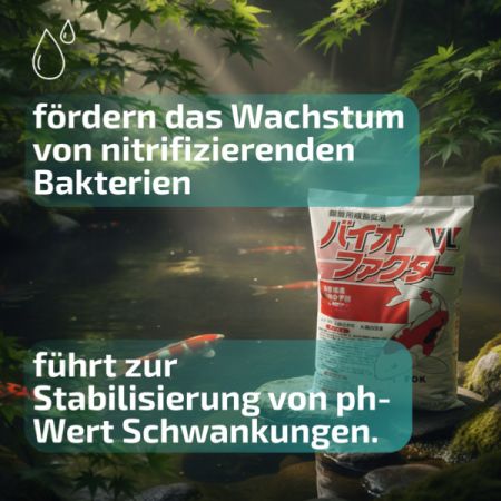 Preview: FOK BIOFACTOR VL