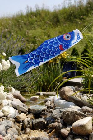 Preview: Wind Koi blau 5,0 m
