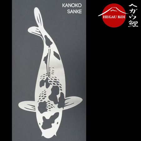 Konoko Sanke | Edelstahl V2A 2mm | 50cm
