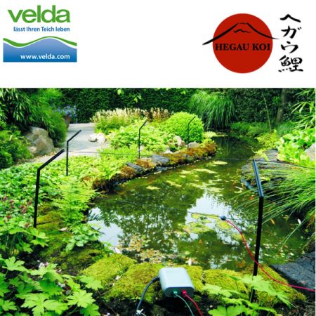 Pond Protector