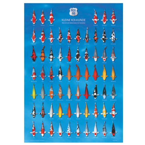 Aqua Logistik Koi Poster