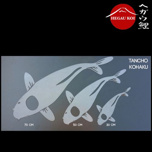 Tancho Kohaku | Stahl roh 2mm | 50cm